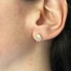 Boucles d'Oreilles Golden Scallop