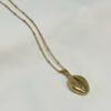Collier Beach Treasure – Image 5