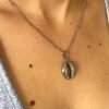 Collier Beach Treasure – Image 6