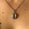 Collier Beach Treasure – Image 8